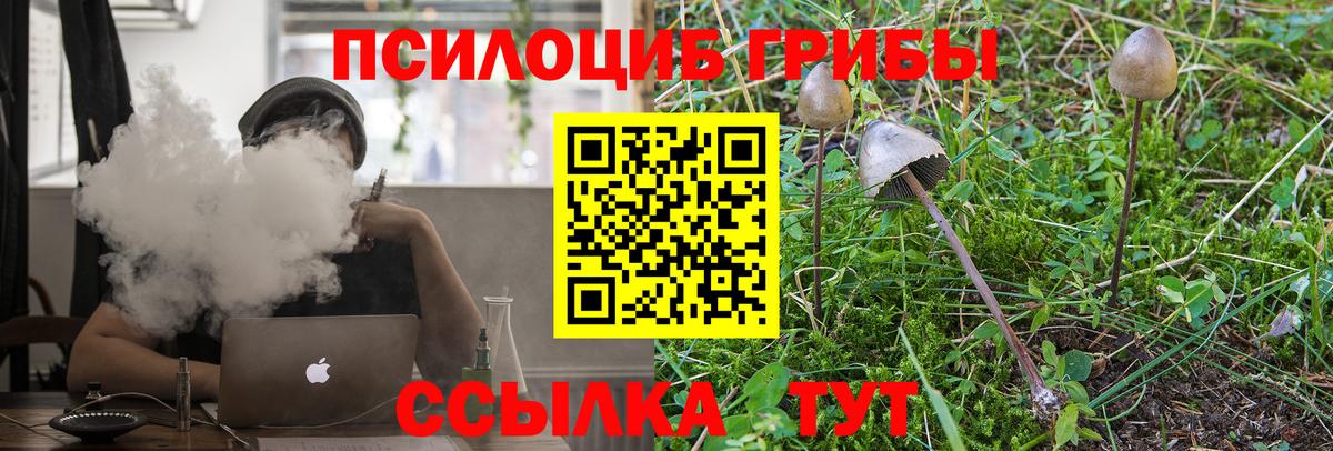 Лысьва  Галлюциногенные грибы Magic Shrooms  Вход с VPN  Псилоцибиновые грибы Cubensis 